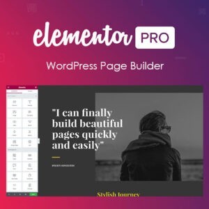 download plugin Elementor PRO Page Builder