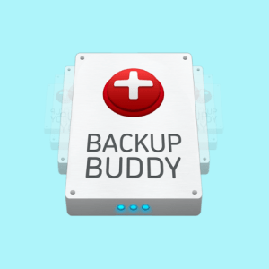 download plugin BackupBuddy WordPress Backup