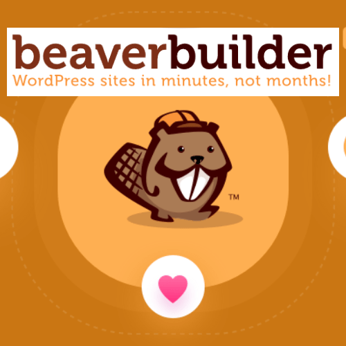 download plugin Beaver Builder Professional