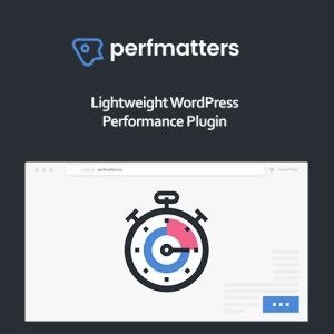 download plugin Perfmatters - Acelerar Sites WordPress