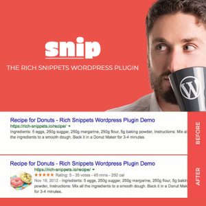 download plugin Snip - The Rich Snippets