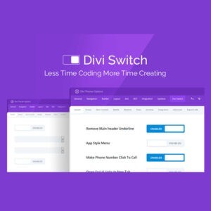 plugin divi switch download