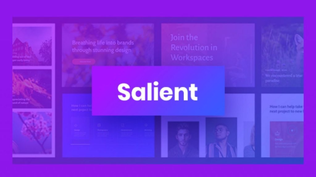 Download theme Salient WordPress Theme