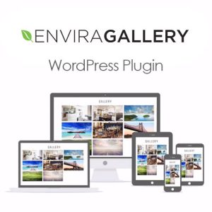 download plugin - Envira Gallery