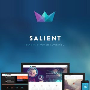 download tema Salient WordPress