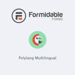 download plugin Formidable Forms Polylang Multilingual