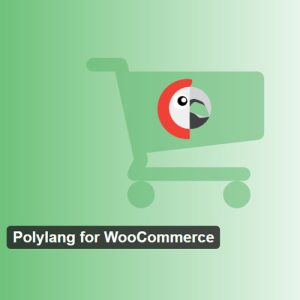 download plugin Polylang for WooCommerce