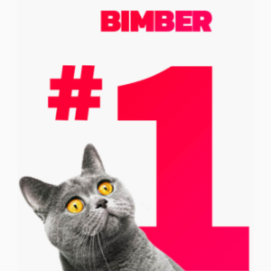 download tema Bimber – Viral Magazine