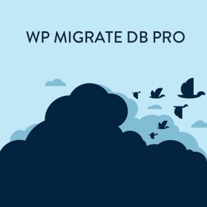 download plugin WP Migrate DB Pro